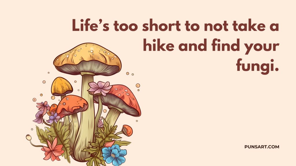 Life’s too short to not take a
hike and find your
fungi.