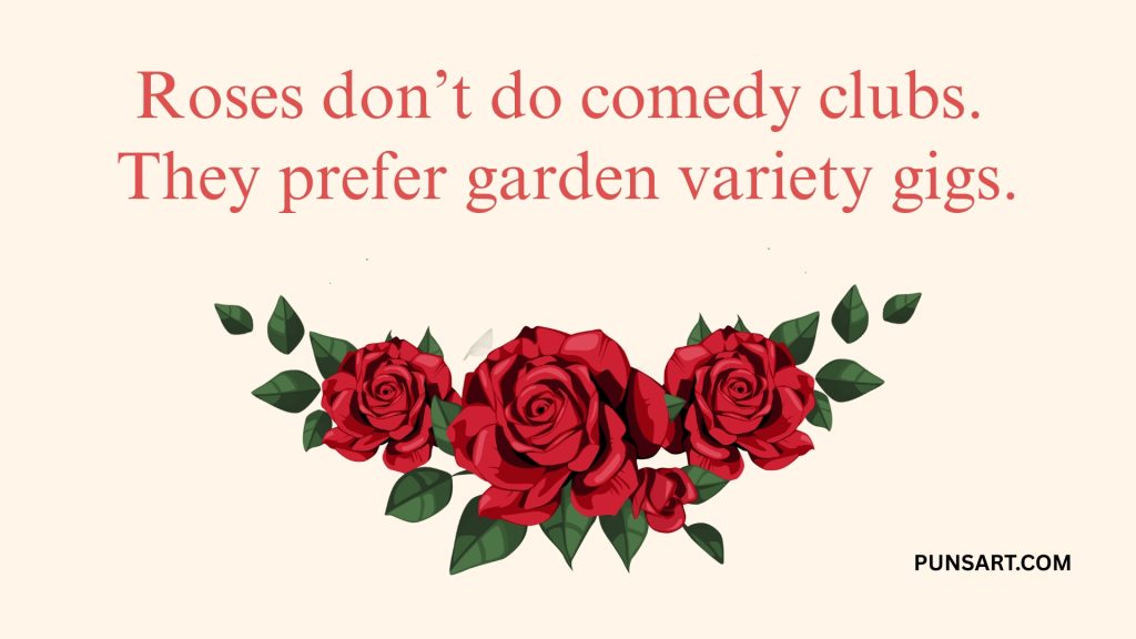 Roses don’t do comedy clubs.
They prefer garden variety gigs.