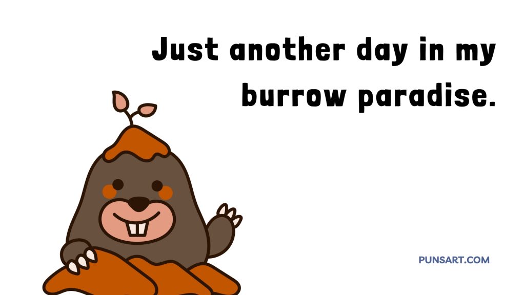 Just another day in my
burrow paradise.